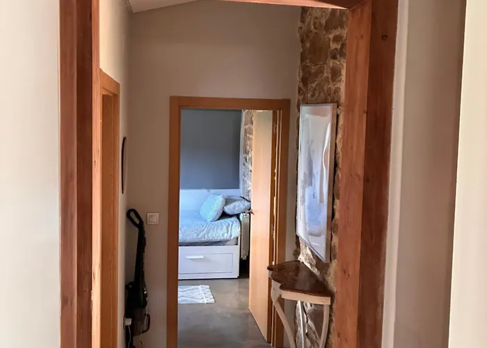 Elvira Ribeira Sacra